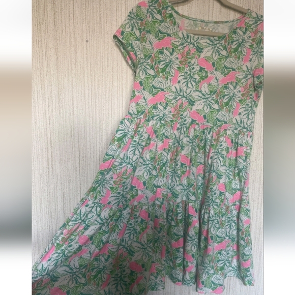 Lilly Pulitzer Size Small Geanna Short Sleeve Dress Floral Bird Print - Picture 6 of 10